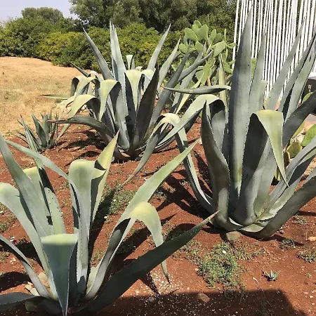 Trullo Ramachandra Vila Carovigno